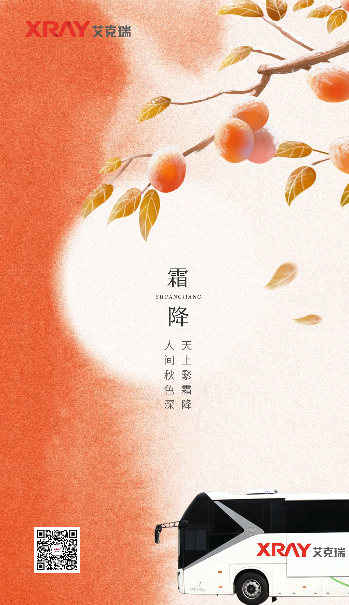 网页.jpg