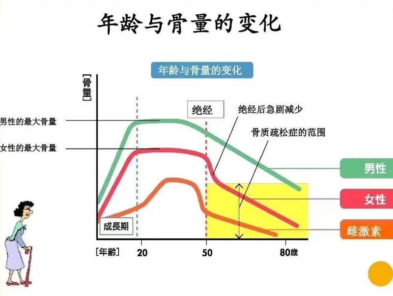 人体骨量变化图.jpg